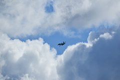 Авиагруппа ВКС России потерпела крушение в Брянской области. Что известно на данный момент