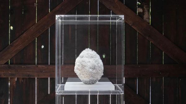 Японская керамистка Эрико Синодзаки выиграла премию фонда Loewe Craft Prize 2023 